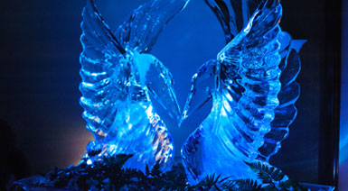 chistmas-festival-the-second-image chistmas-festival-the-second-image